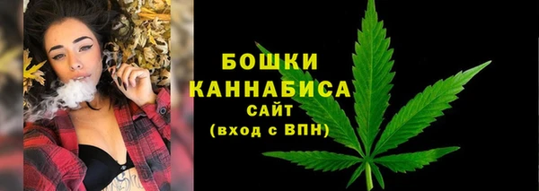 амф Арсеньев