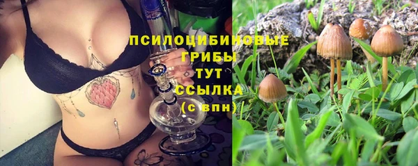 индика Покровск